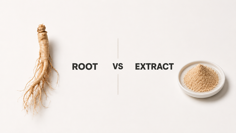 Ashwagandha Root vs. Extract: What the Difference Actually Means for Your Supplement