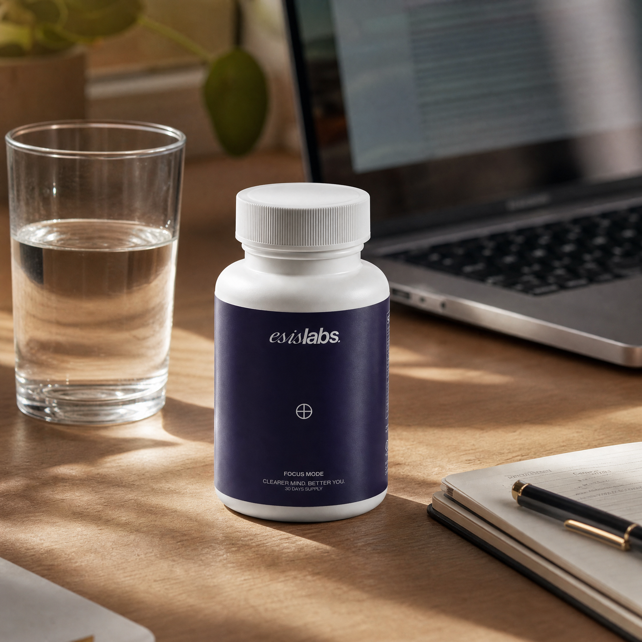 Best Ingredients for Focus Support (2026 Guide)